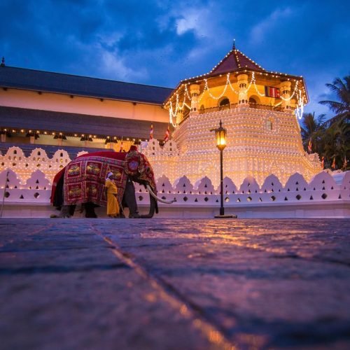 d04e03e02e64b5f0297ed0c3e476e892 (1)