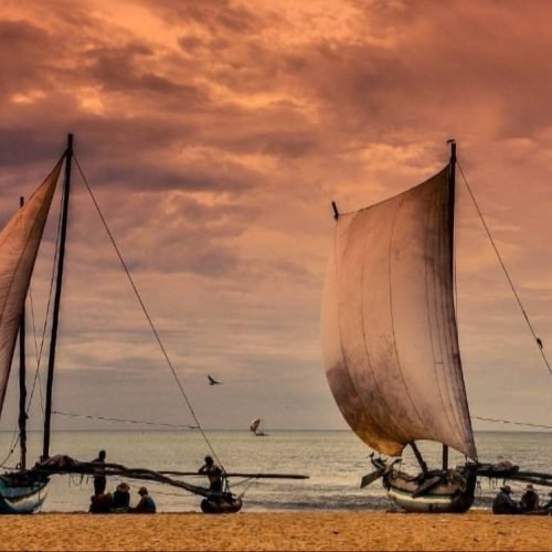 f0e5a2545d0e353d38facf1886f9014e (1)